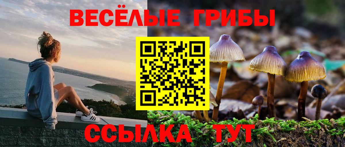 Псилоцибиновые грибы Magic Shrooms  Псилоцибиновые грибы Cubensis  наркота  Биробиджан  Вход с VPN 